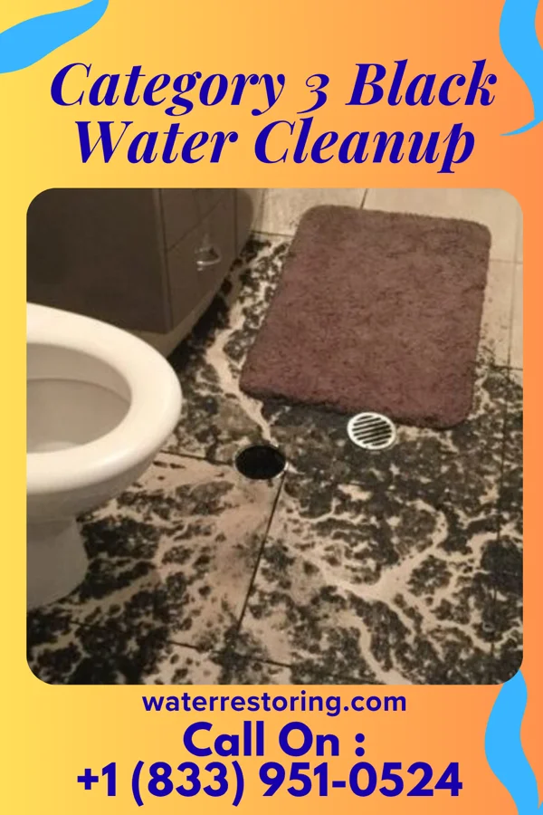 Category 3 Black Water Cleanup in Hennessey, OK